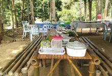 Taman Eko Rimba Ulu Tembeling景点图片