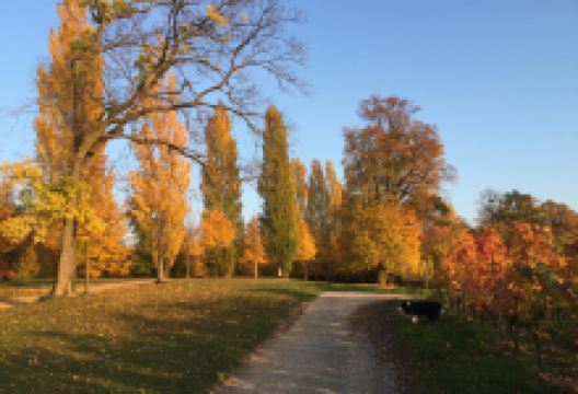 Staatspark Furstenlager景点图片