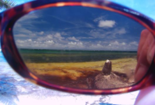 Turneffe Reef景点图片