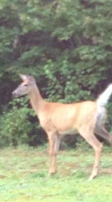 Mikisew Provincial Park-Machar