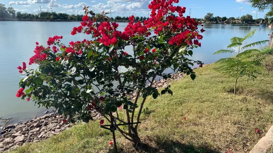 La Laguna Del Nainari