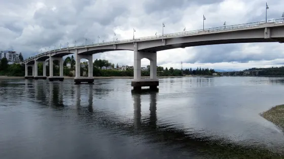 Manette Bridge