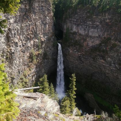 加拿大维多利亚+两大国家公园8日7晚跟团游