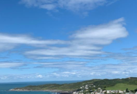 Fly Like a Bird景点图片