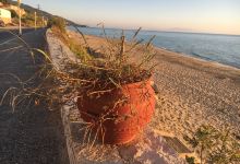 Loutsa Beach景点图片