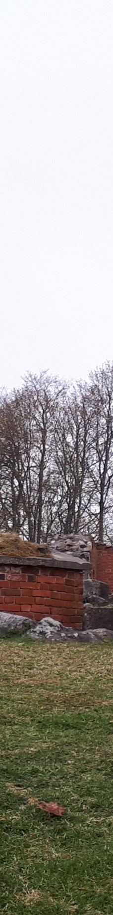 Kuusisto Bishop's Castle-卡里纳