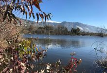 La laguna del Padul景点图片