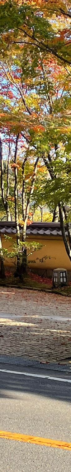 Shirakumo Pond-云仙市