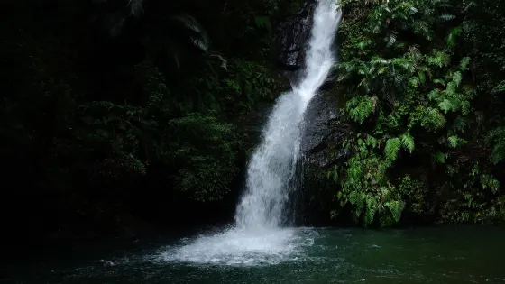 普久川滝
