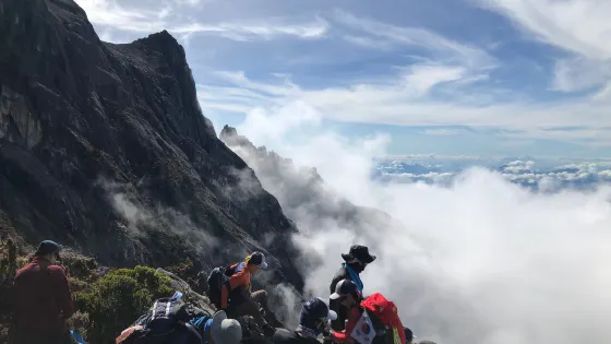 Mount Kinabalu Botanical Garden