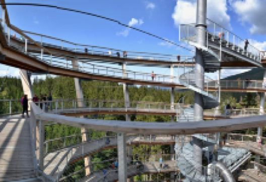 The Tree Top Trail景点图片