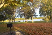 Riley Deppe County Park景点图片
