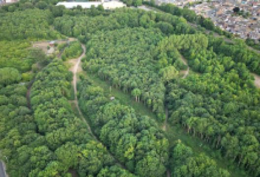 The Meads Community Woodland景点图片
