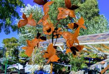 Sorell Nursery and Landscape Supplies购物图片