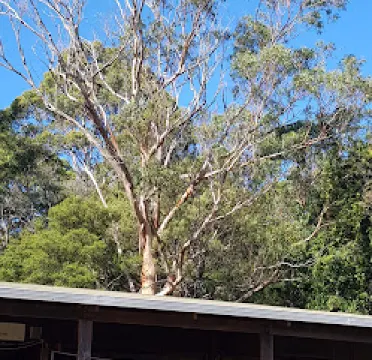 Kincumba Mountain Reserve