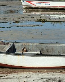 Aghir port-吉尔巴岛