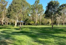 Chermside Dog Park景点图片