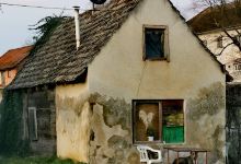 Animal House景点图片