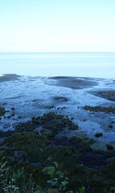Chinook County Park-太平洋城县