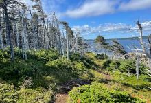 East Coast Trail - Beaches Path景点图片