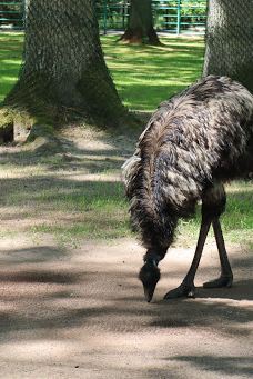 Öland Zoo and Amusement Park-默尔比隆阿