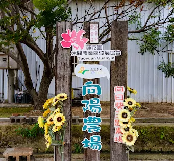 向陽農場