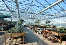 Edwards Garden Centres - Bury Bank购物图片