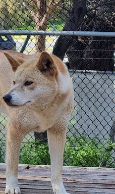 Bunbury Wildlife Park-South Bunbury