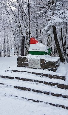 TV and observation tower-珍珠河