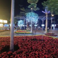 陆安图片