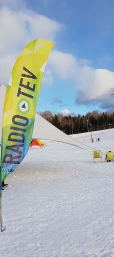 Viešura kalns-马多纳