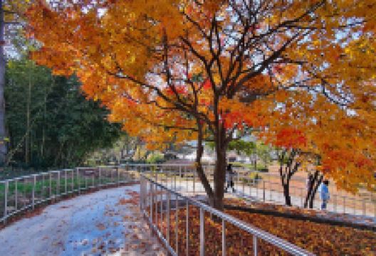 全罗南道农业博物馆景点图片