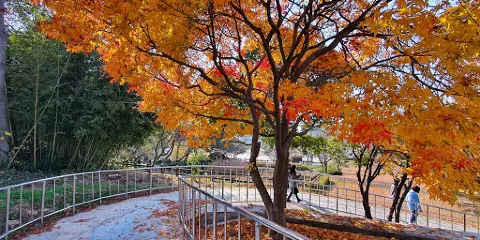 全羅南道農業博物館