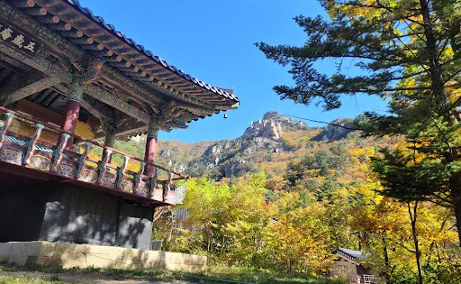 五歲庵