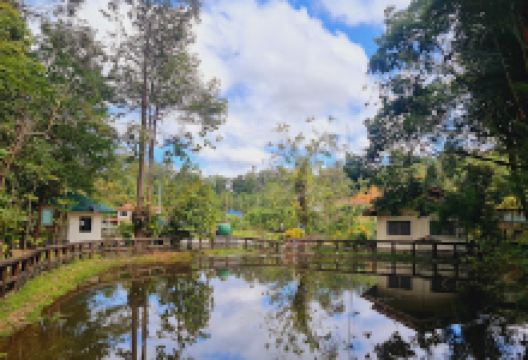 Forestry Museum Brunei, Sungai Liang景点图片