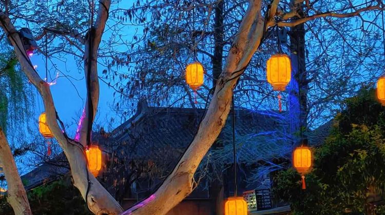 2D1N · Group Tours · Shanghai CityWalk + Shanghai Zhujiajiao, including tour guide service