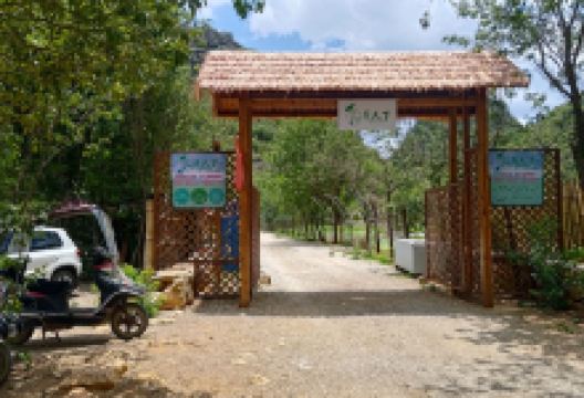 荷天下购物图片