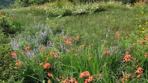 牛寨山水花園