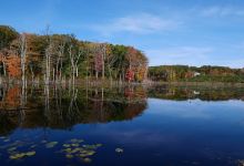 Boston Hill Farm景点图片