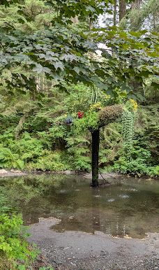 Glacier Gardens Rainforest Adventure-朱诺