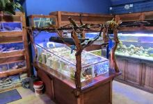 Crystal Clear Aquariums购物图片