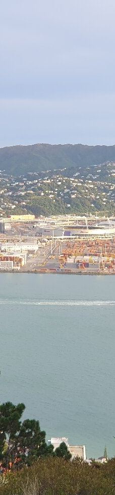 维多利亚山-惠灵顿