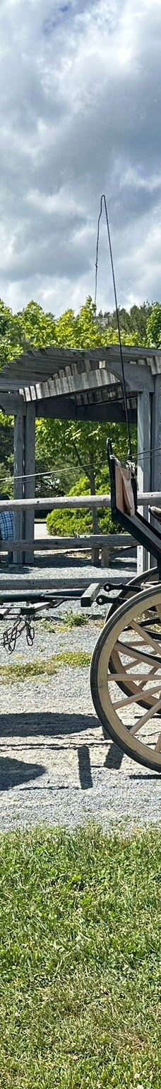 阿科底亚国家公园-沙山