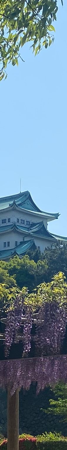 名城公园-名古屋