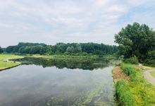 Natuurpark Lelystad景点图片