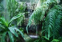 The Municipal Palm House, Gliwice景点图片