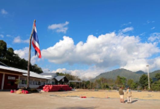 Doi Chang景点图片