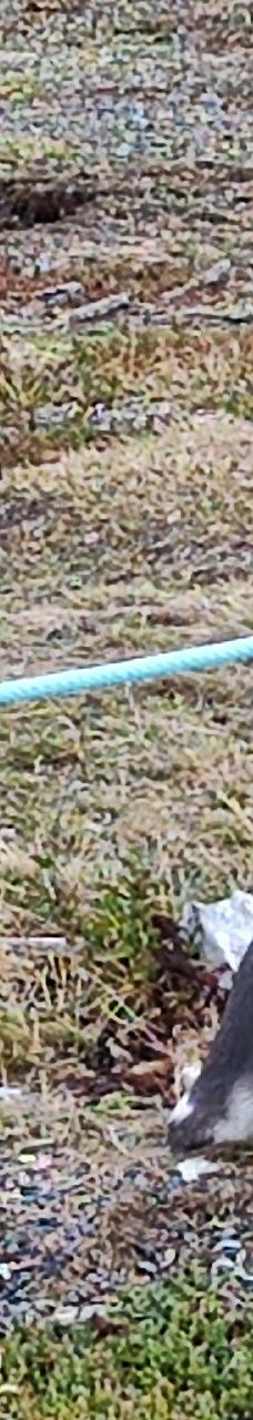 Isla Martillo-乌斯怀亚