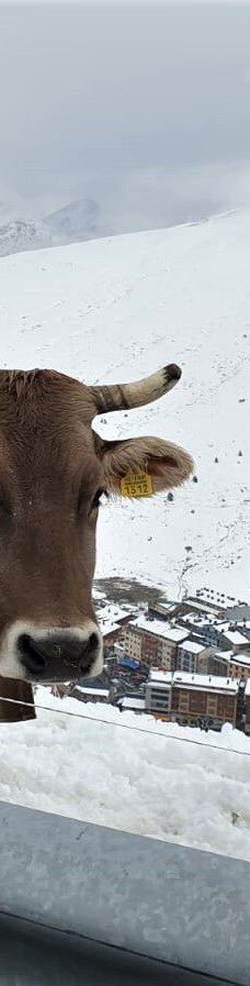 Grandvalira Estació de Ski Grau Roig-格劳罗伊格