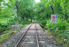 トロッコ王国美深景点图片